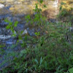 Meet your Posher, Cassandra